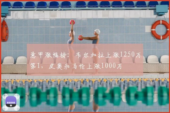 意甲涨幅榜：韦尔加拉上涨1250万第1，皮奥和马伦上涨1000万