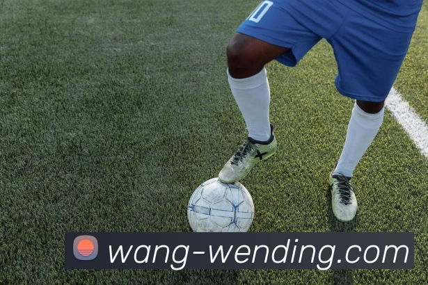 问鼎娱乐平台生态图