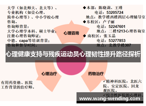 心理健康支持与残疾运动员心理韧性提升路径探析