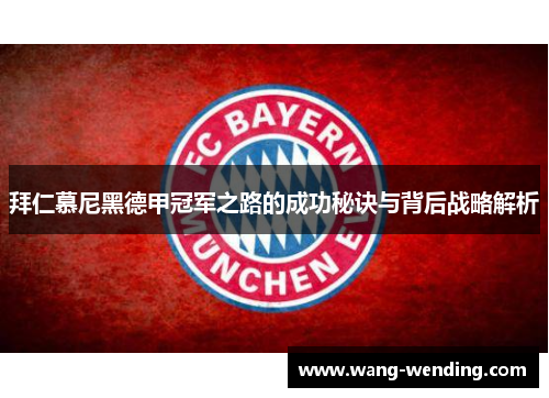 拜仁慕尼黑德甲冠军之路的成功秘诀与背后战略解析