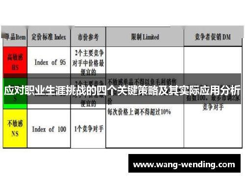 应对职业生涯挑战的四个关键策略及其实际应用分析