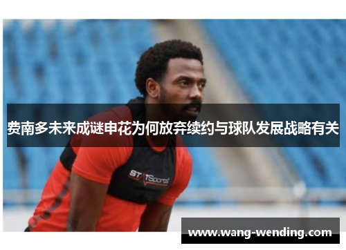 费南多未来成谜申花为何放弃续约与球队发展战略有关