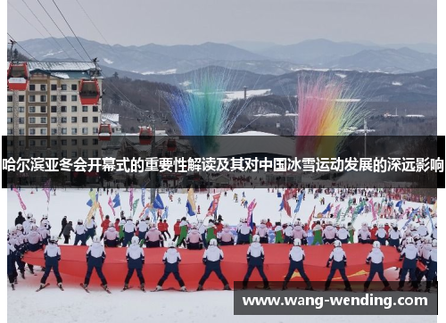 哈尔滨亚冬会开幕式的重要性解读及其对中国冰雪运动发展的深远影响