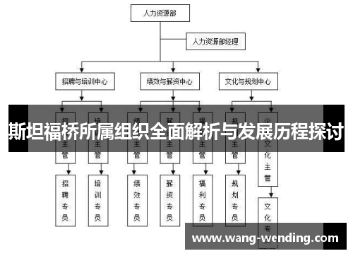 斯坦福桥所属组织全面解析与发展历程探讨