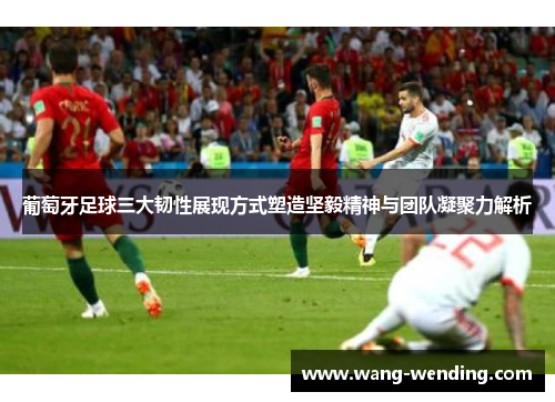 葡萄牙足球三大韧性展现方式塑造坚毅精神与团队凝聚力解析
