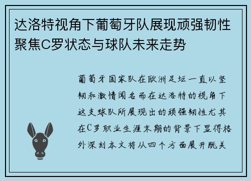 达洛特视角下葡萄牙队展现顽强韧性聚焦C罗状态与球队未来走势