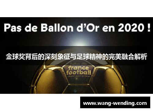 金球奖背后的深刻象征与足球精神的完美融合解析