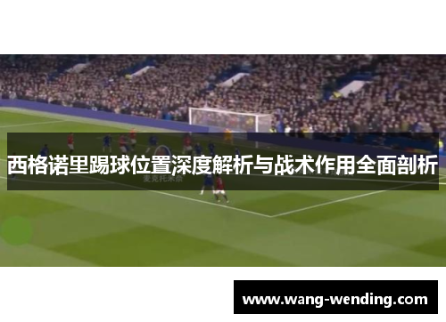 西格诺里踢球位置深度解析与战术作用全面剖析